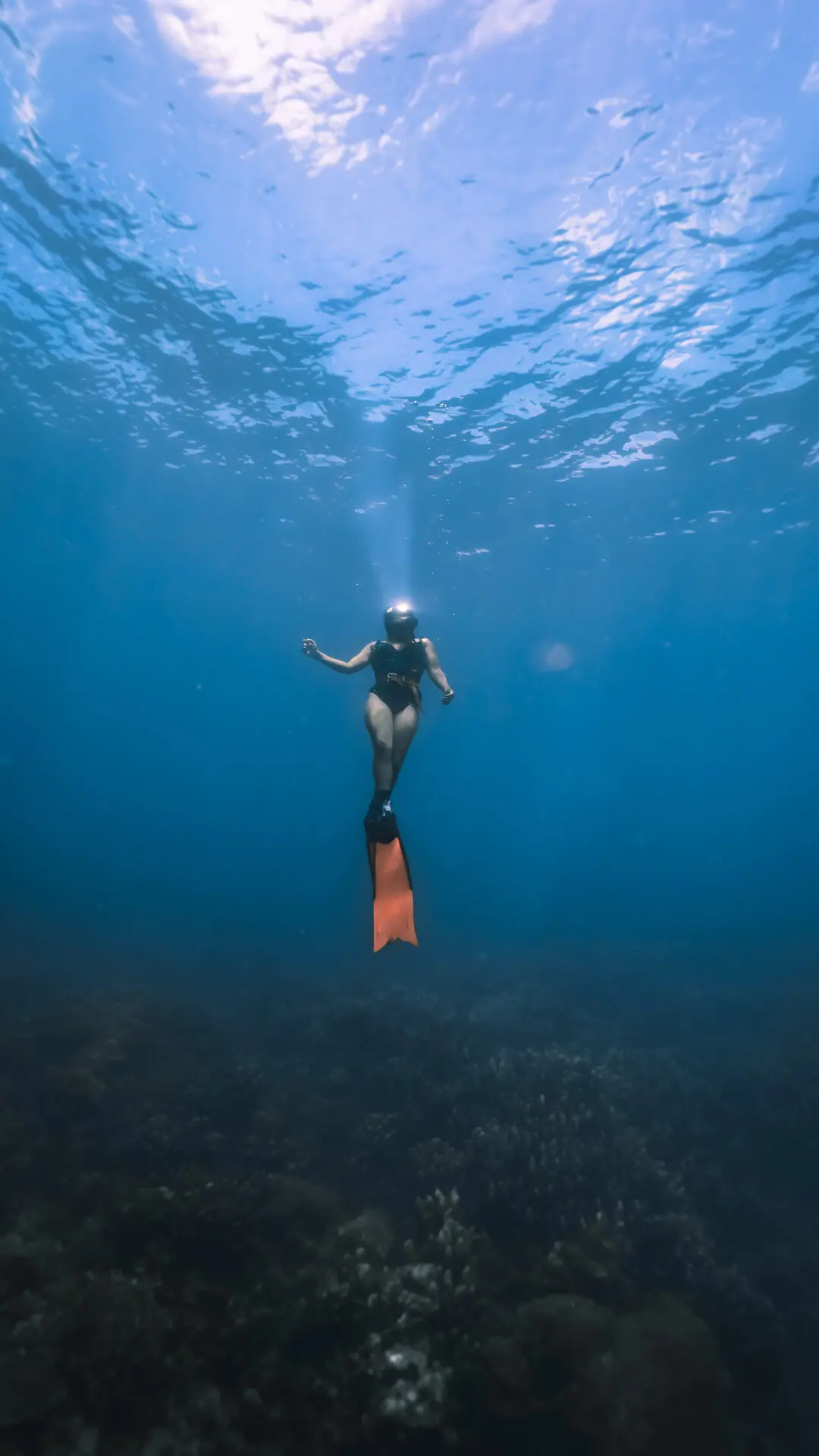 Scuba Diver