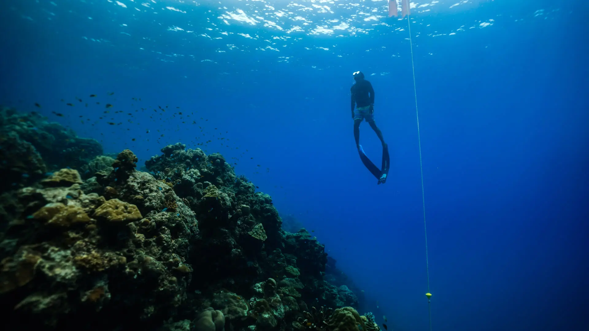 Diving Certificate