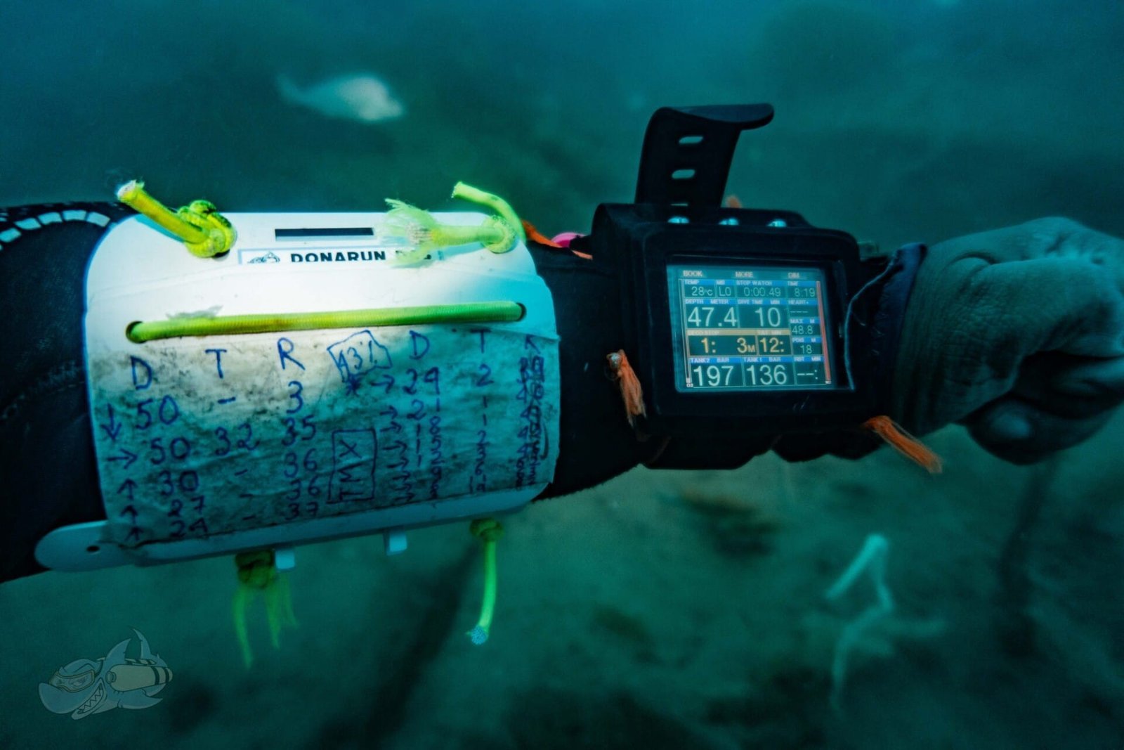 Enriched Air (NITROX) Diver Course - Image 2