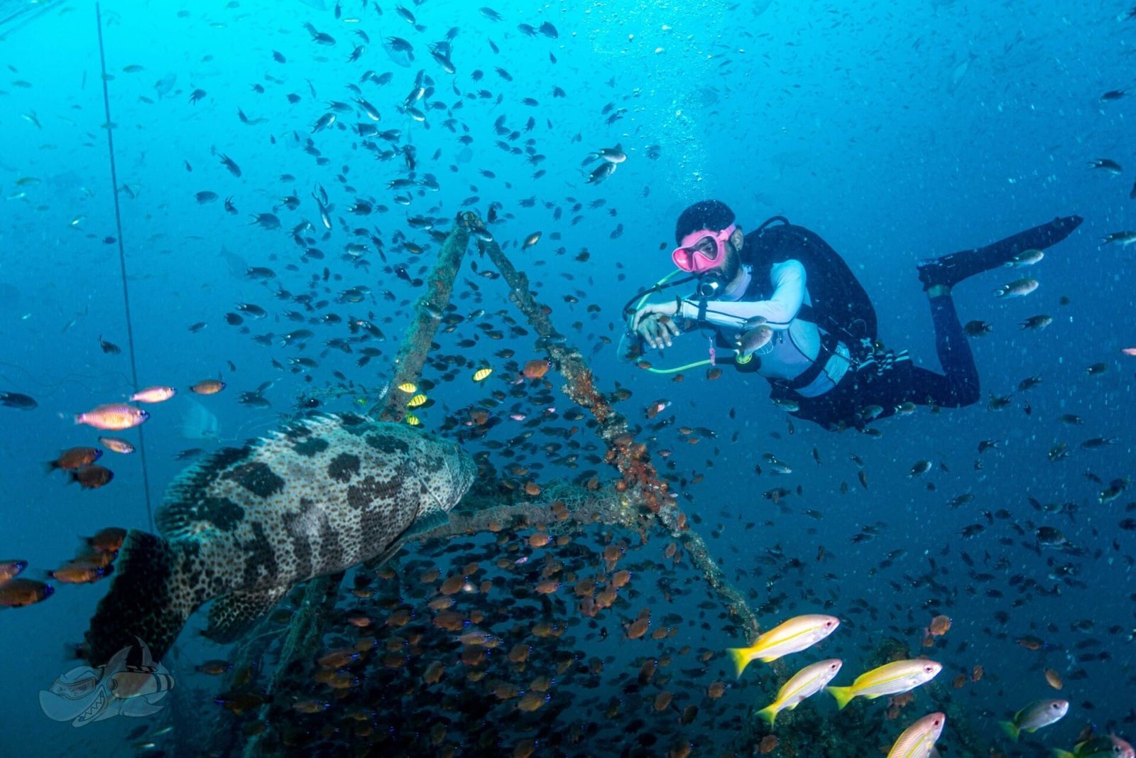 Peak Performance Buoyancy Course