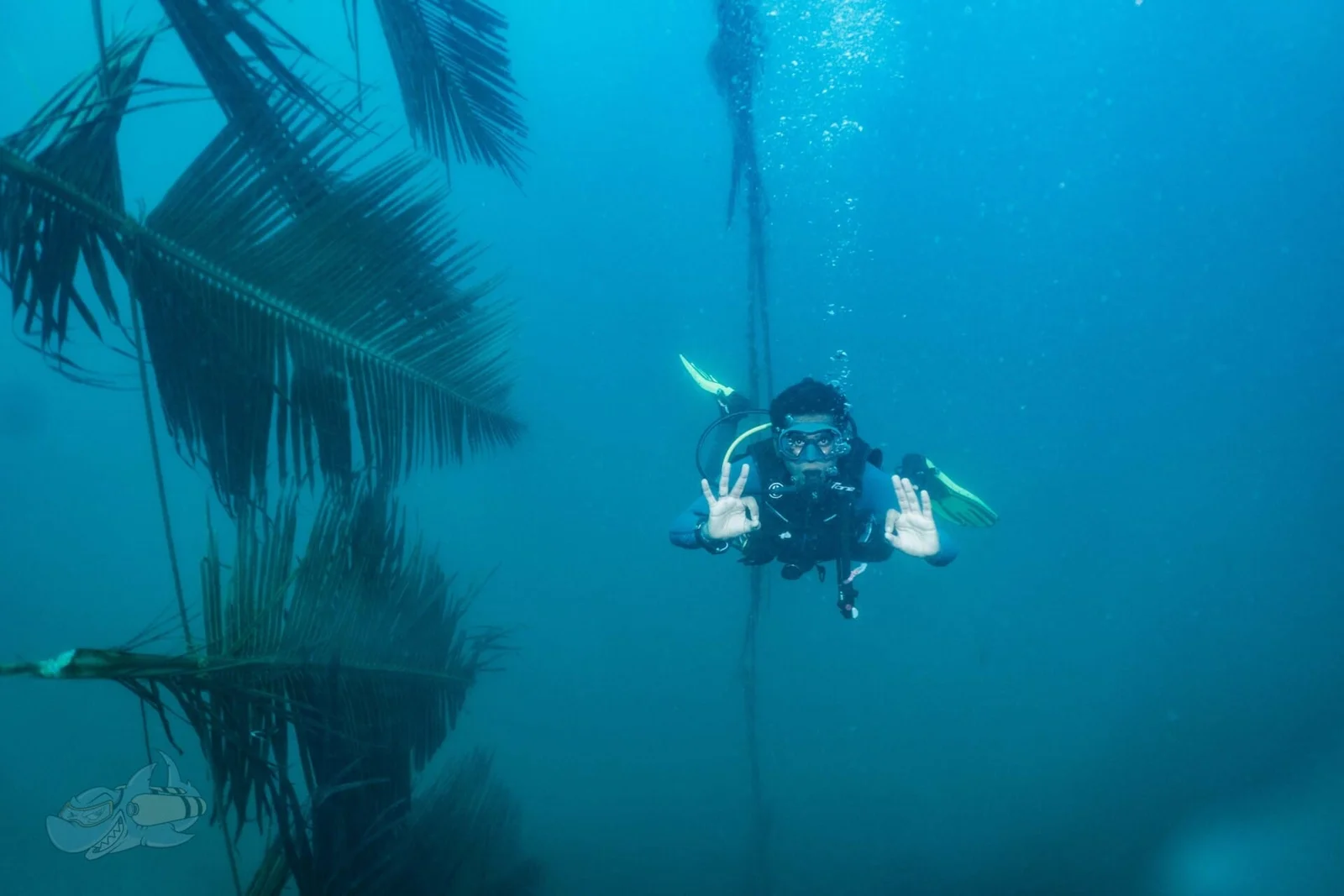 Fun Diving for Certified Divers
