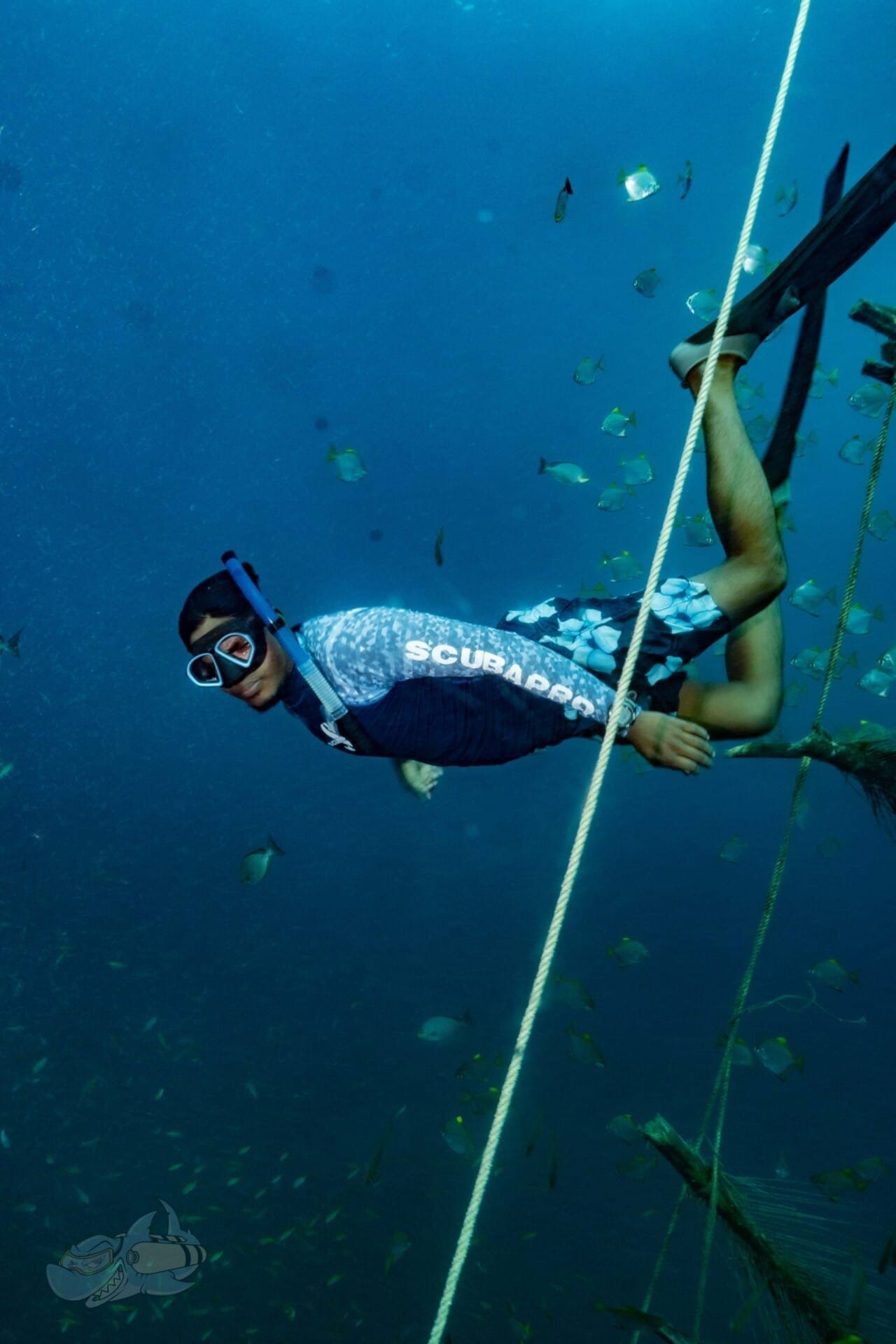Freediving Instructor