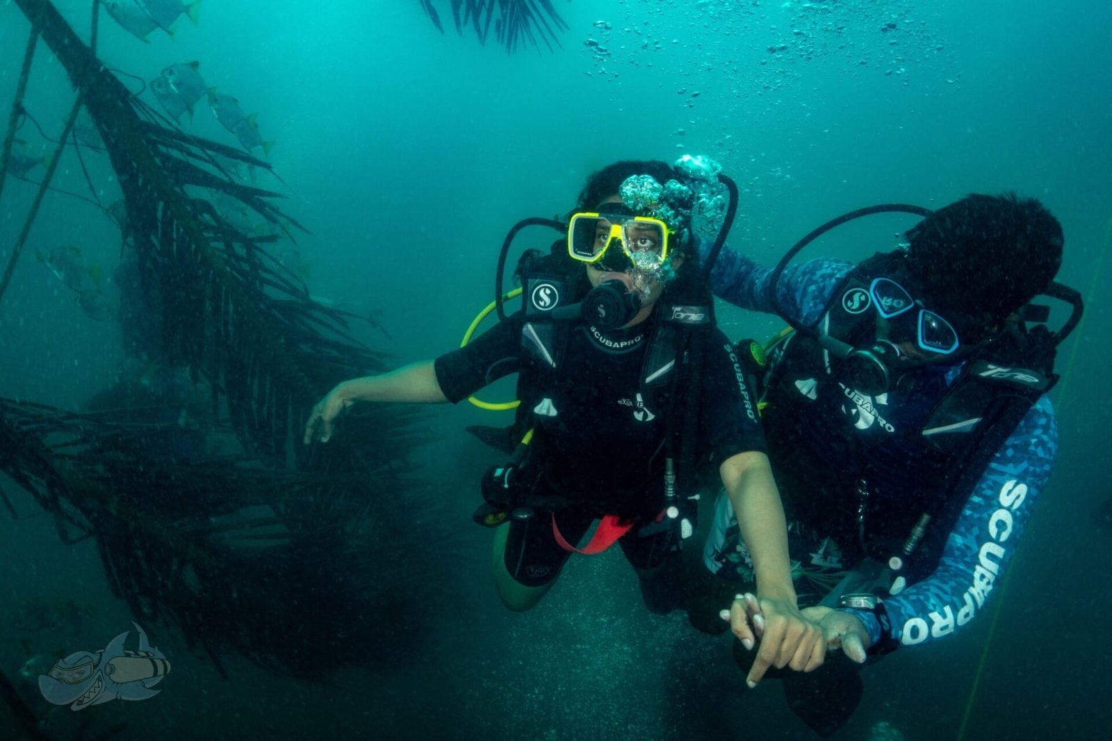 Adaptive Diver