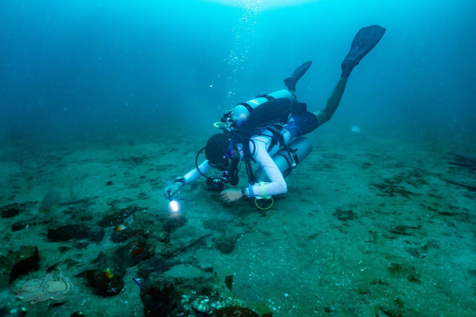 Technical Fun Dive - Image 3