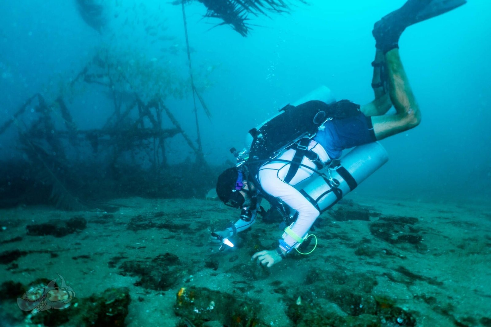 PADI Tec50 - Image 3