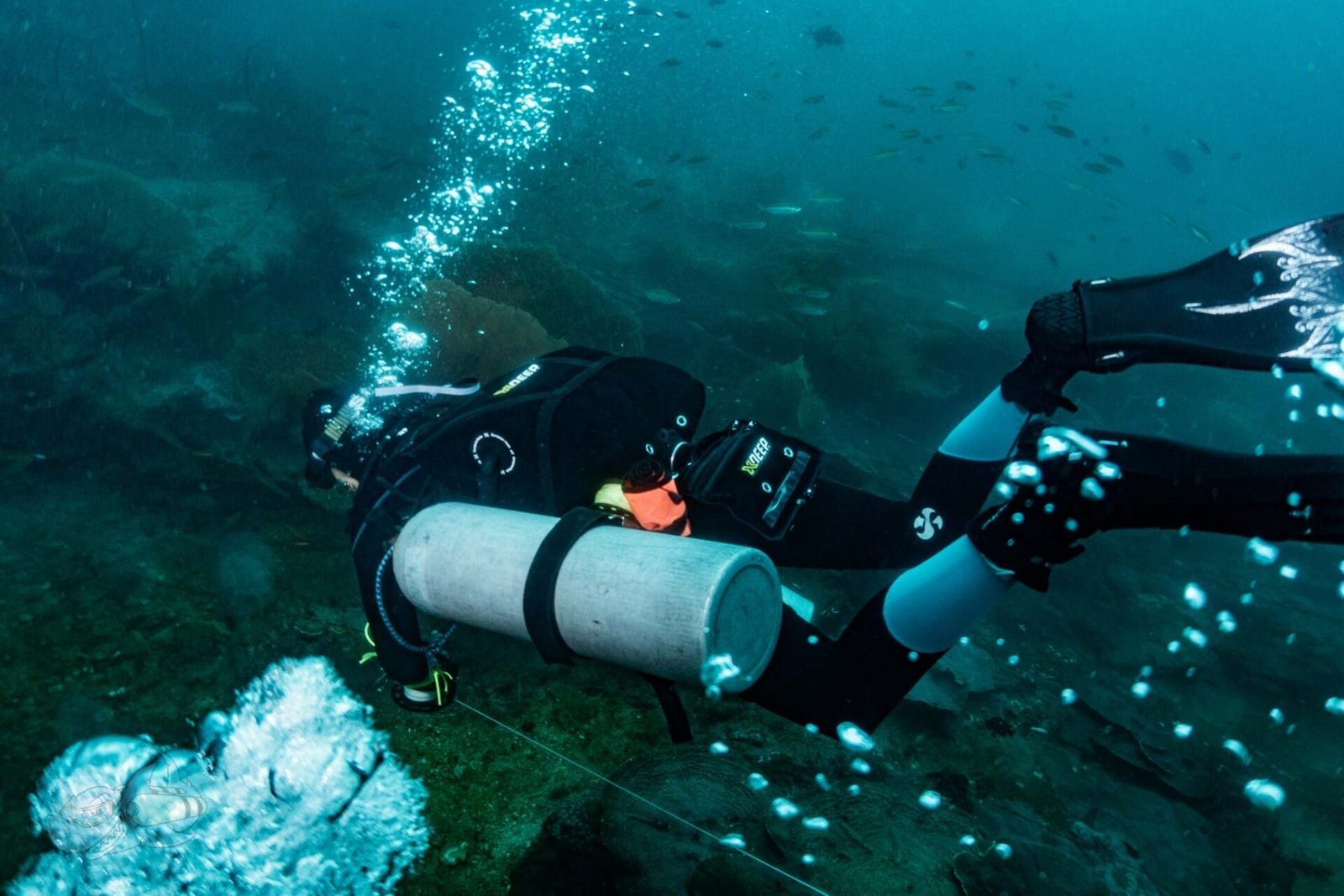 PADI Tec45 - Image 2