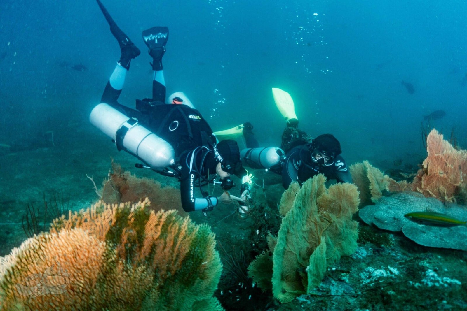 PADI Tec Rescue