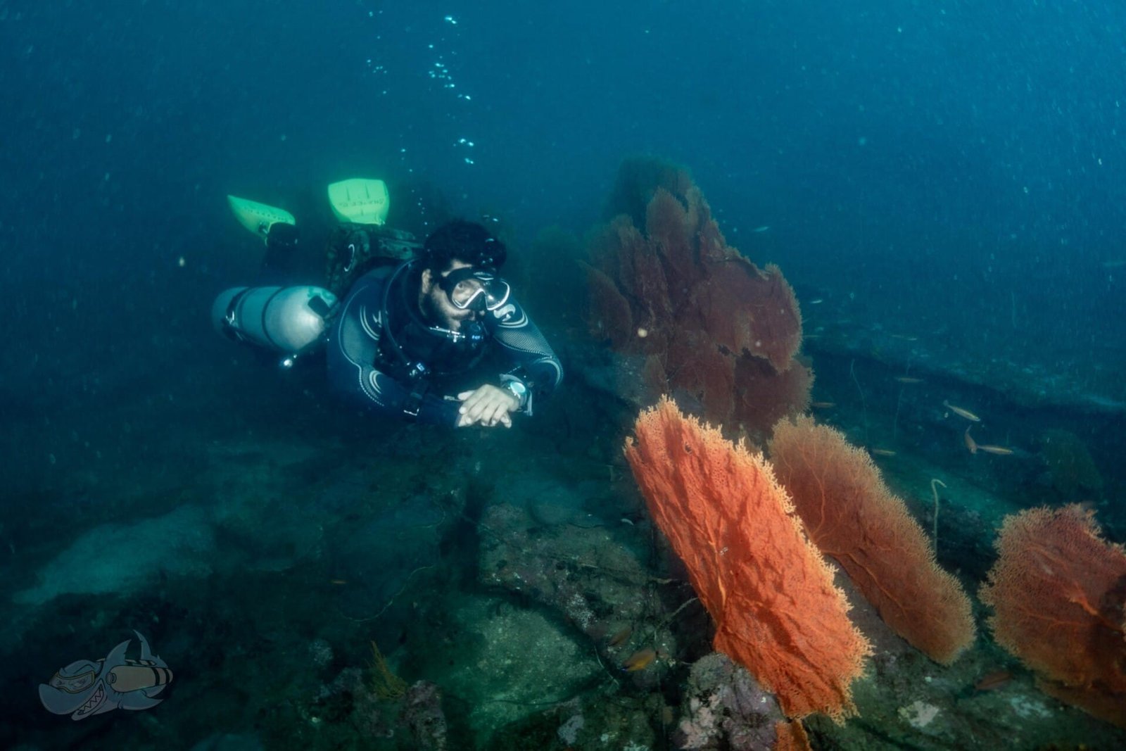 Sidemount Diver Course - Image 4