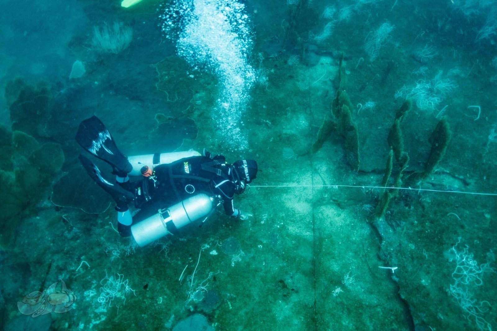 PADI Tec50 - Image 2