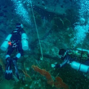 PADI Tec50