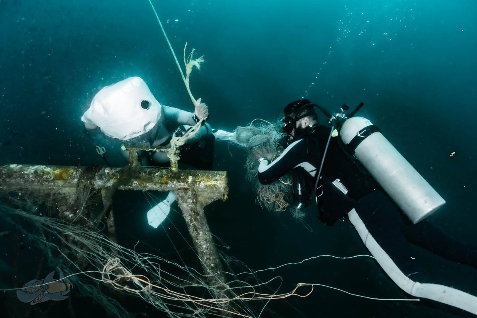 Dive Against Debris - Image 3