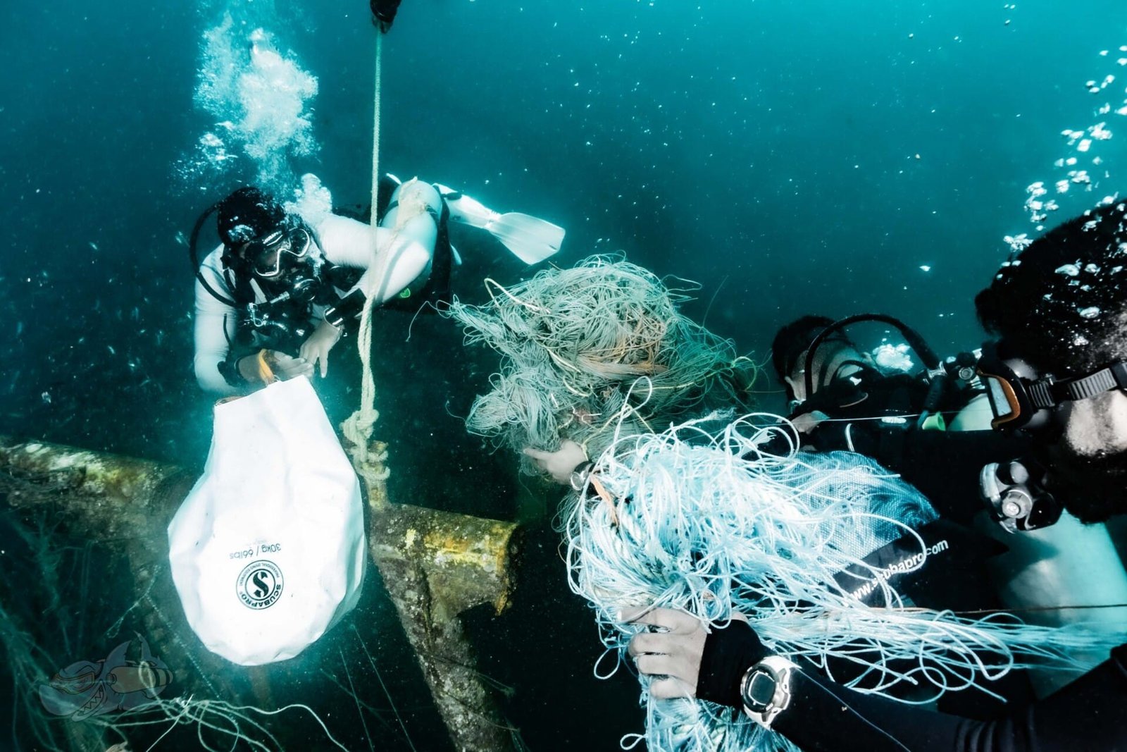 Dive Against Debris - Image 4