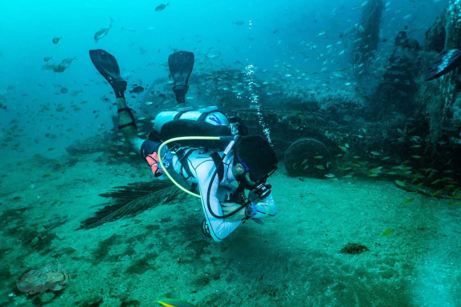 Peak Performance Buoyancy Course - Image 2