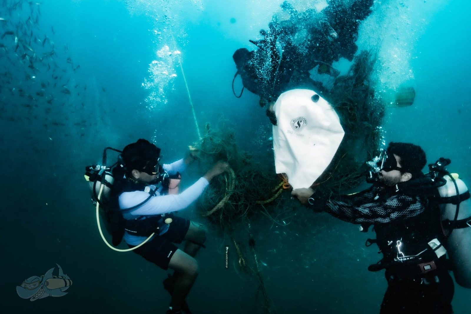 Dive Against Debris - Image 2