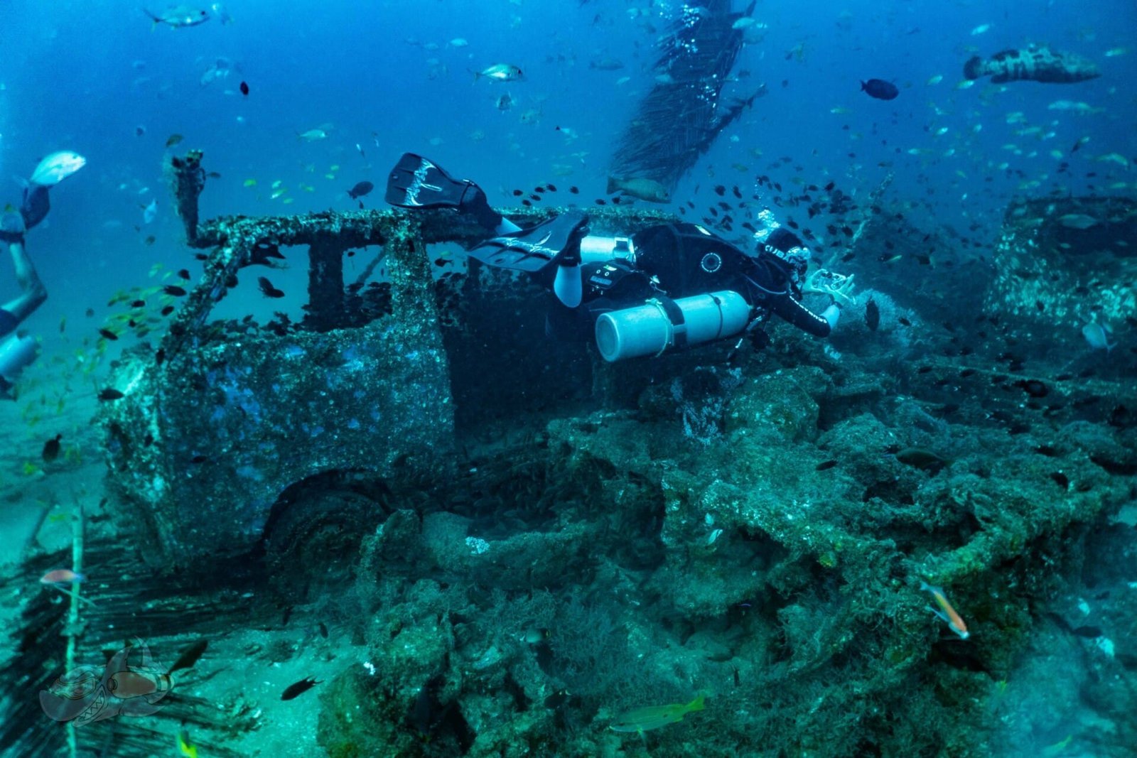 Sidemount Diver Course - Image 5