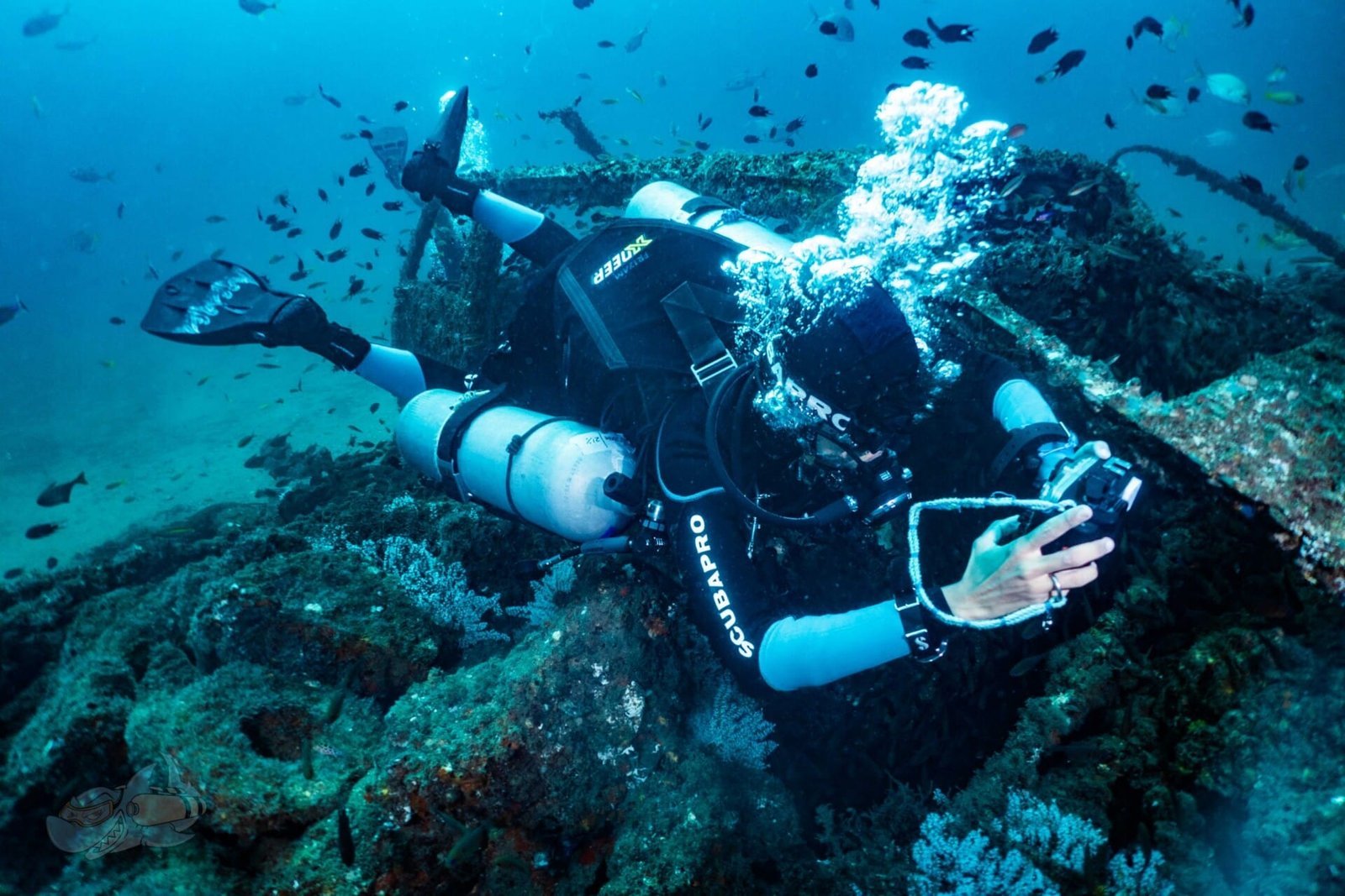 Tec Instructor - Image 3