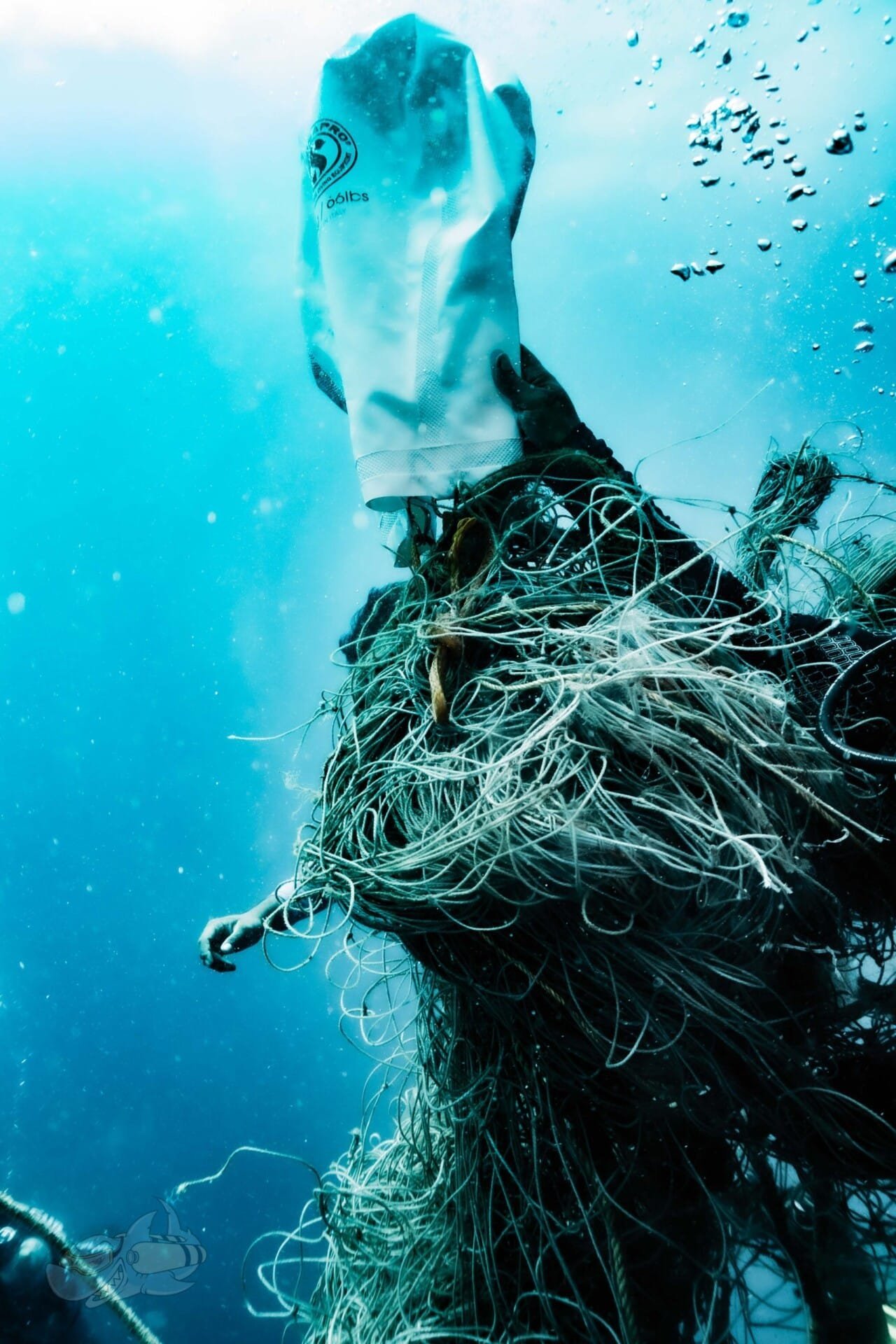 Search & Recovery Diver - Image 3