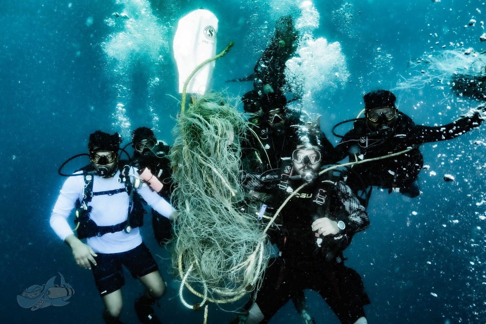 Dive Master - Image 3
