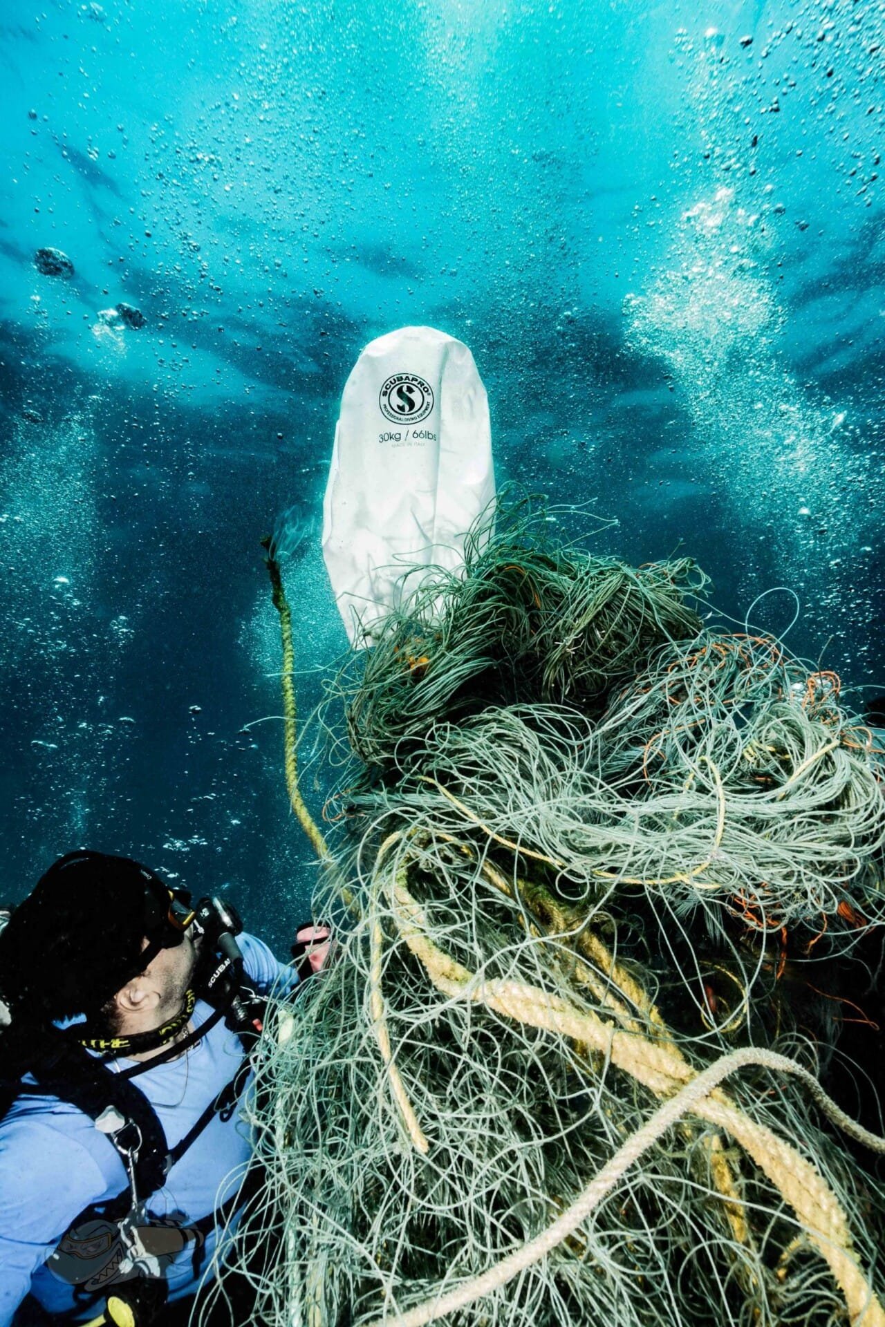 Dive Against Debris - Image 5