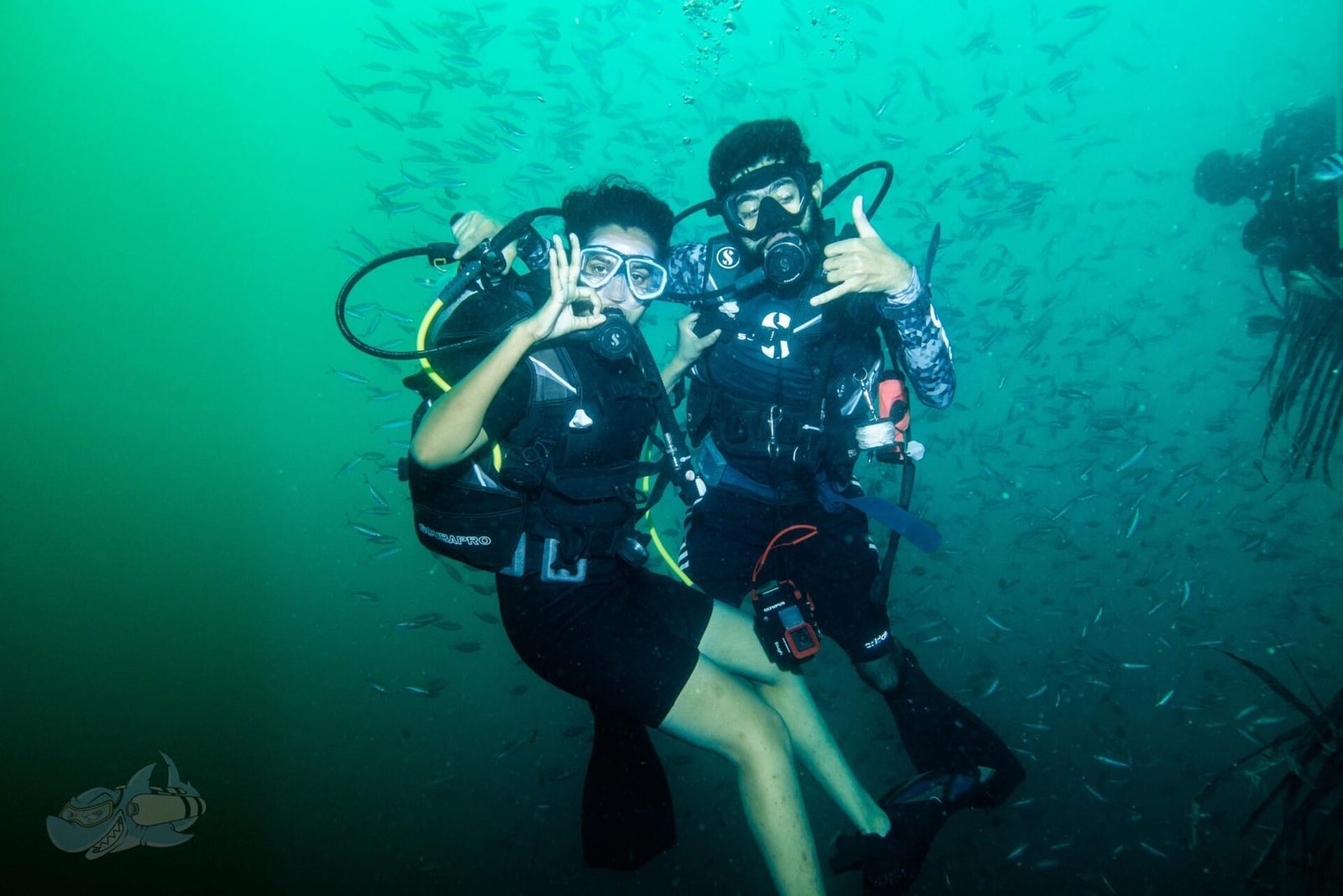 Couple's Private Scuba Diving - Image 2