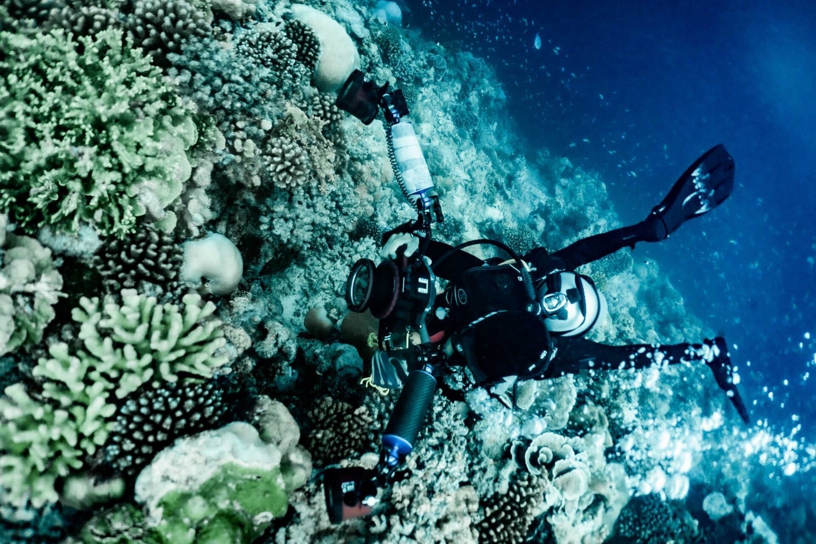 Underwater Digital Photography Course