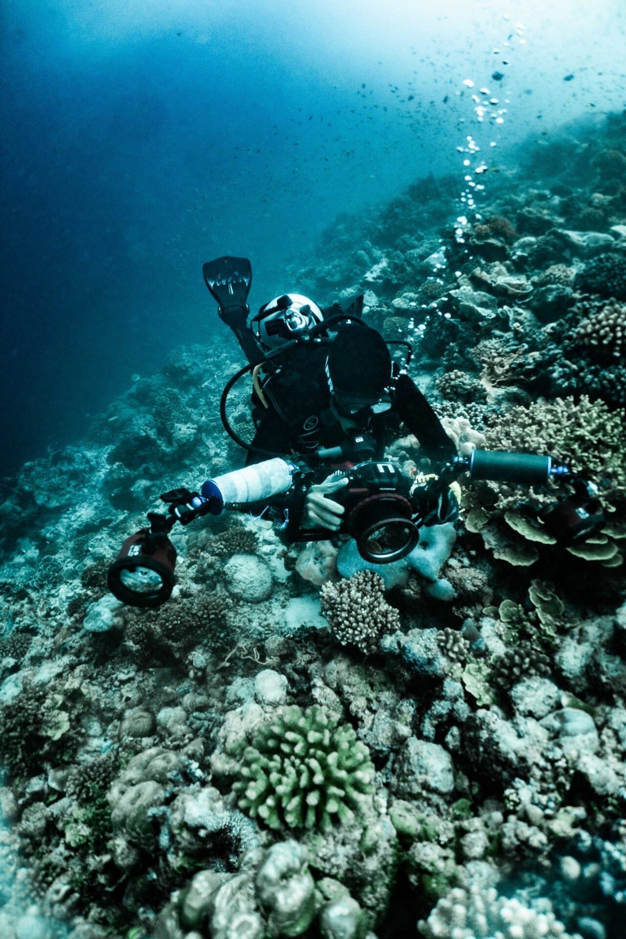 Drift Diver - Image 2
