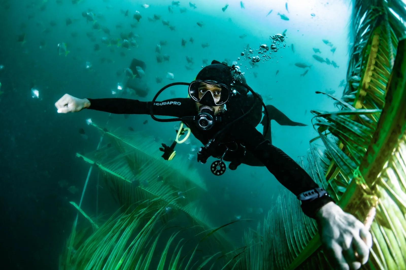 Temple Adventures Scuba Diving