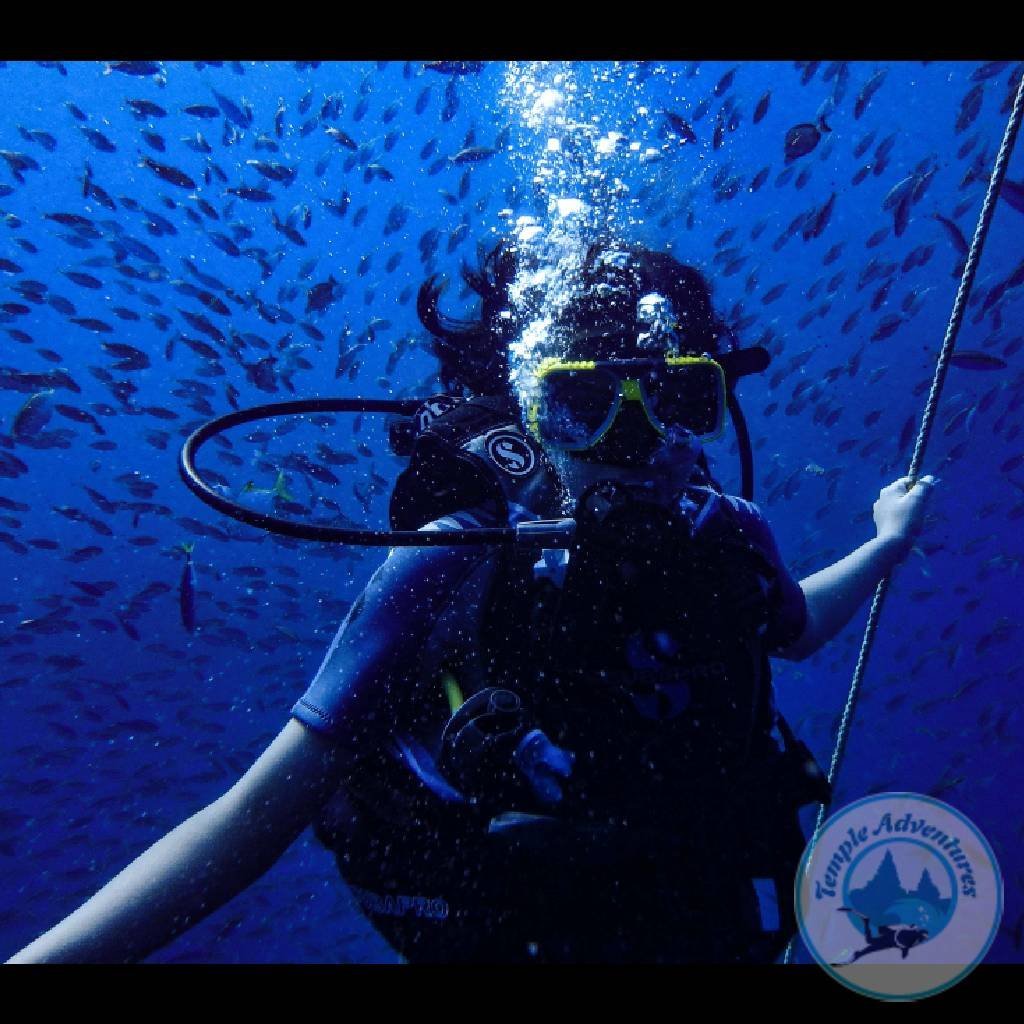 Try Scuba / Discover Diving - Image 3