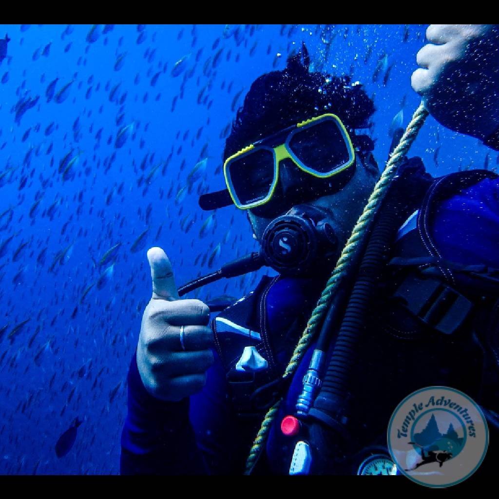 Try Scuba / Discover Diving - Image 2